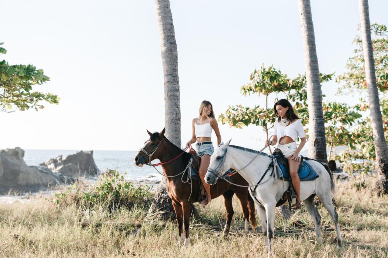 Star Mountain Jungle Lodge & Horse Ranch Malpais Exterior foto